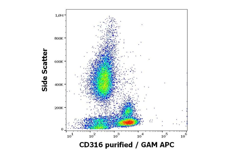 Flow Cytometry - Anti-IGSF8 Antibody [8A12] (A320681)