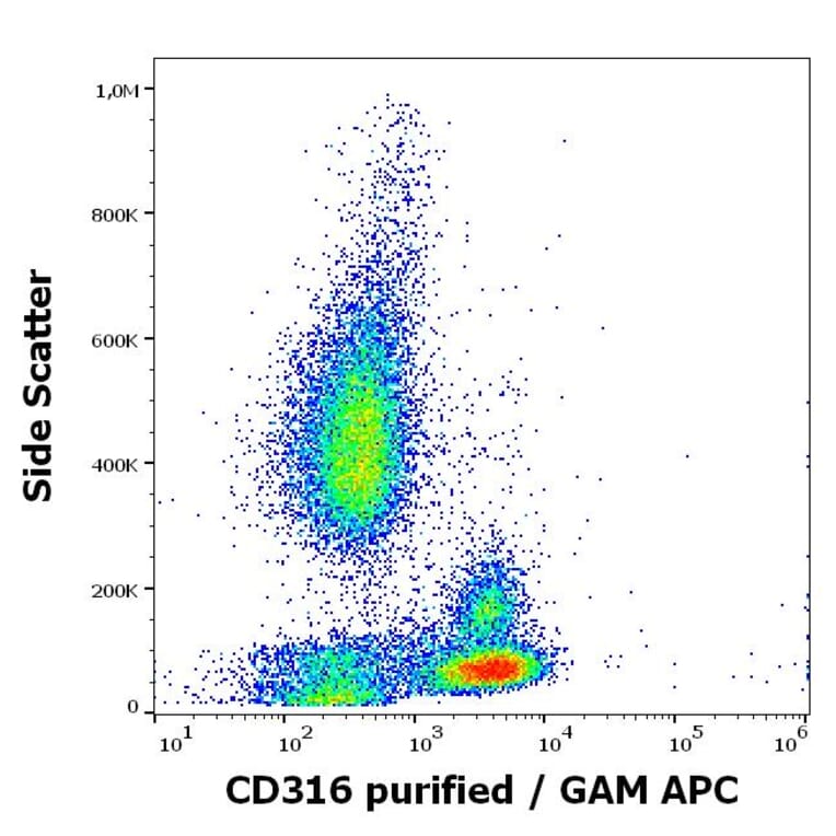 Flow Cytometry - Anti-IGSF8 Antibody [8A12] (A320681)