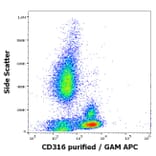 Flow Cytometry - Anti-IGSF8 Antibody [8A12] (A320681)