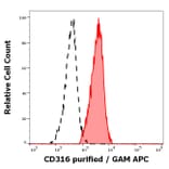 Flow Cytometry - Anti-IGSF8 Antibody [8A12] (A320681)