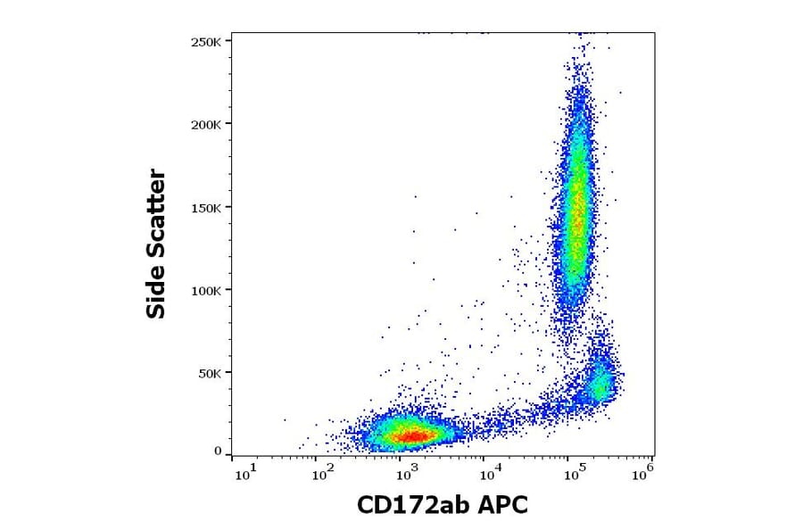 Flow Cytometry - Anti-SIRP alpha + SIRPB1 Antibody [SE5A5] (APC) (A320683)