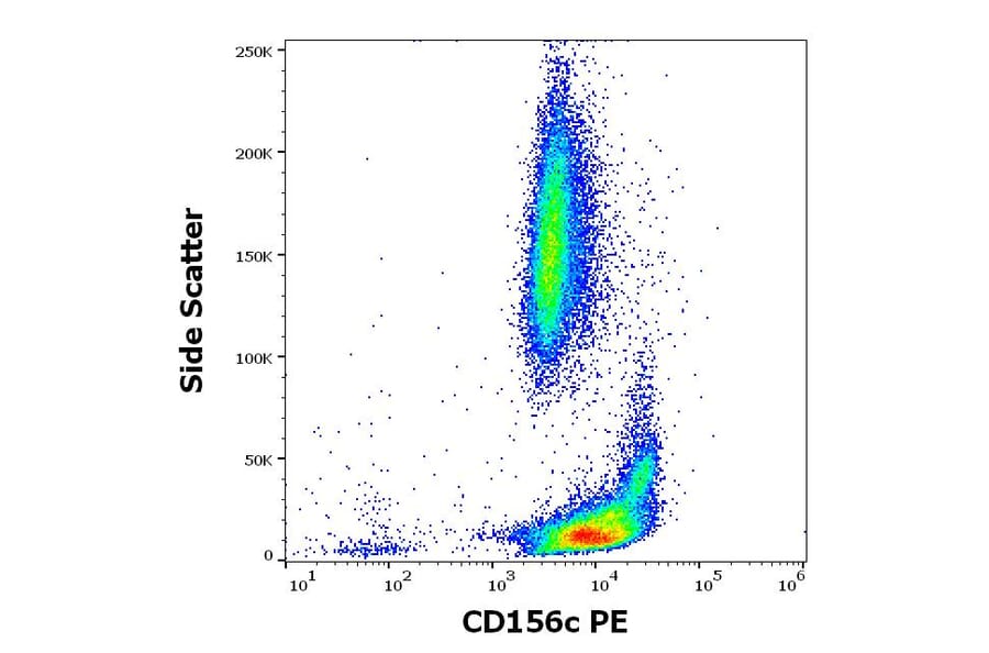 Flow Cytometry - Anti-ADAM10 Antibody [11G2] (PE) (A320687)
