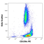 Flow Cytometry - Anti-ADAM10 Antibody [11G2] (PE) (A320687)