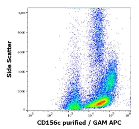 Flow Cytometry - Anti-ADAM10 Antibody [11G2] (A320688)