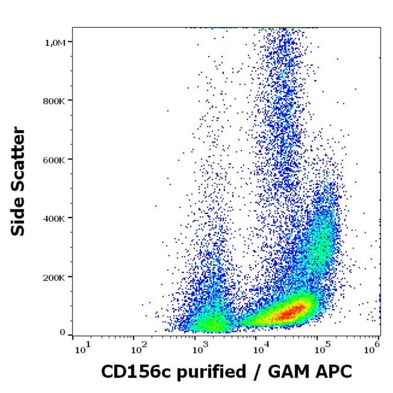 Flow Cytometry - Anti-ADAM10 Antibody [11G2] (A320688)