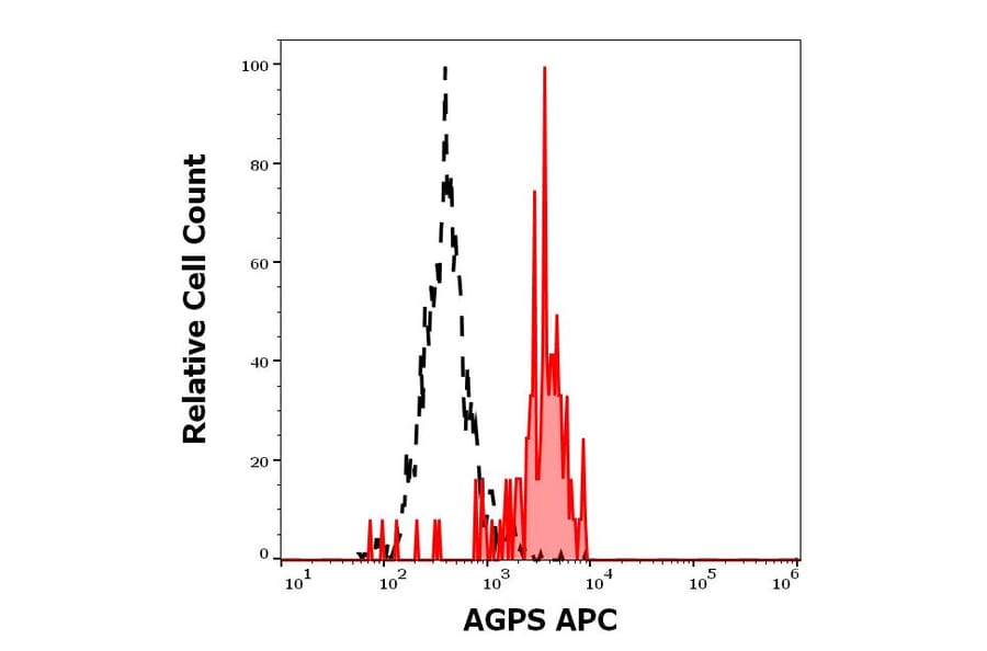 Flow Cytometry - Anti-AGPS Antibody [AGPS-03] (APC) (A320689)
