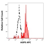 Flow Cytometry - Anti-AGPS Antibody [AGPS-03] (APC) (A320689)