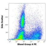 Flow Cytometry - Anti-Blood Group A Antigen Antibody [HE-193] (PE) (A320691)
