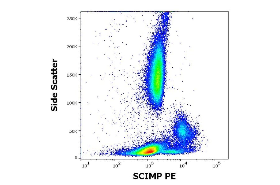 Flow Cytometry - Anti-C17orf87 Antibody [NVL-07] (PE) (A320692)