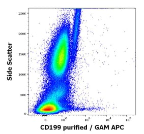 Flow Cytometry - Anti-CCR9 Antibody [C9Mab-1] (A320694)