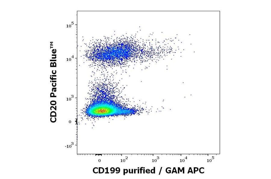 Flow Cytometry - Anti-CCR9 Antibody [C9Mab-1] (A320694)