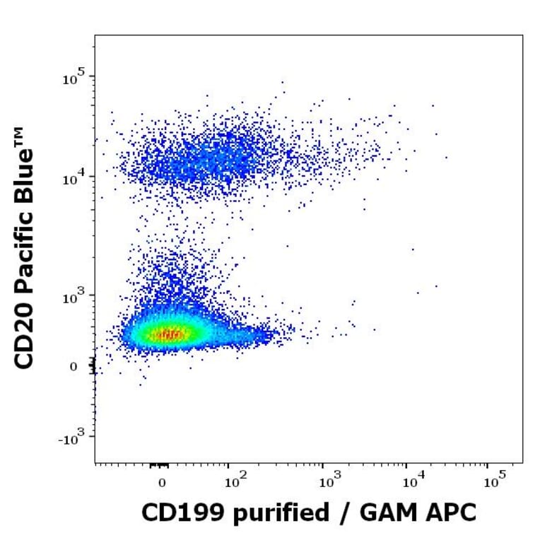 Flow Cytometry - Anti-CCR9 Antibody [C9Mab-1] (A320694)