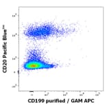 Flow Cytometry - Anti-CCR9 Antibody [C9Mab-1] (A320694)