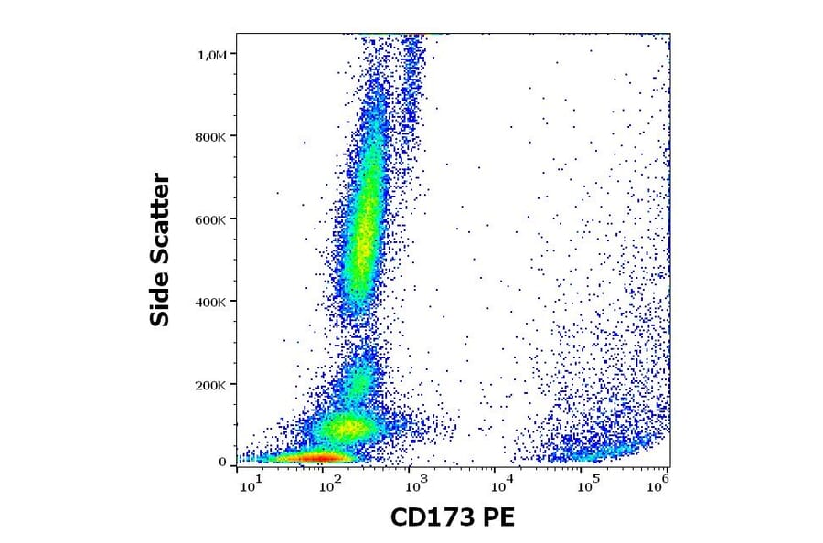 Flow Cytometry - Anti-CD173 Antibody [MEM-195] (PE) (A320696)