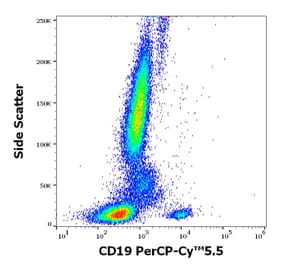 Flow Cytometry - Anti-CD19 Antibody [LT19] (PerCP-Cyanine 5.5) (A320697)