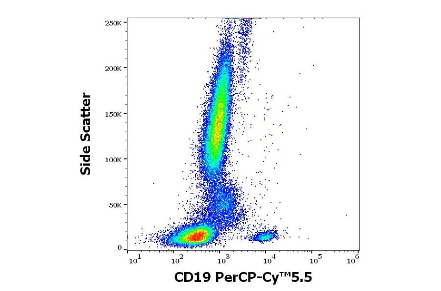 Flow Cytometry - Anti-CD19 Antibody [LT19] (PerCP-Cyanine 5.5) (A320697)