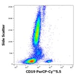 Flow Cytometry - Anti-CD19 Antibody [LT19] (PerCP-Cyanine 5.5) (A320697)
