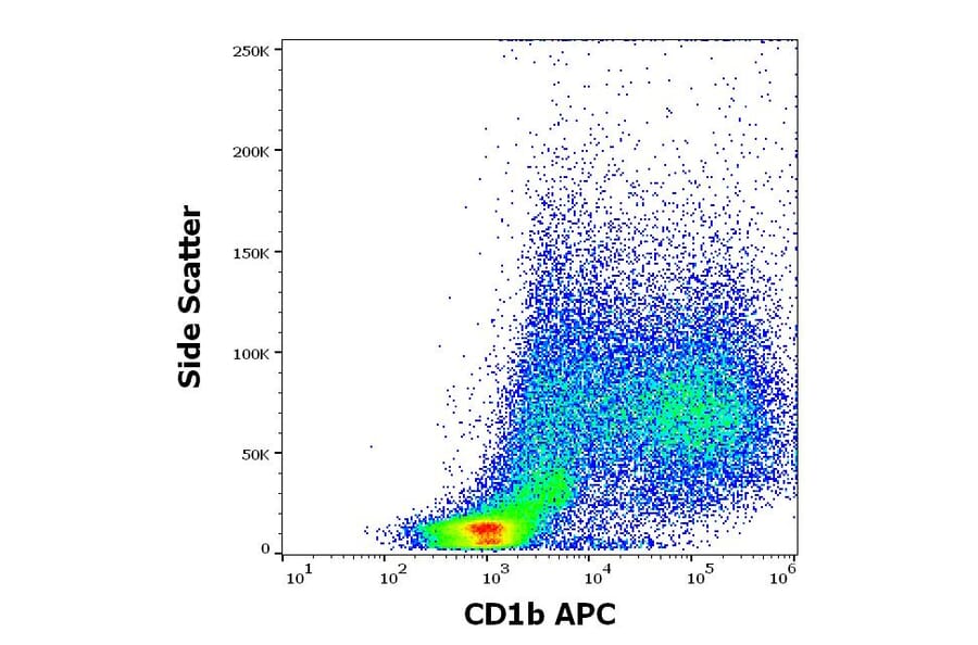 Flow Cytometry - Anti-CD1b Antibody [SN13] (APC) (A320698)