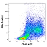 Flow Cytometry - Anti-CD1b Antibody [SN13] (APC) (A320698)