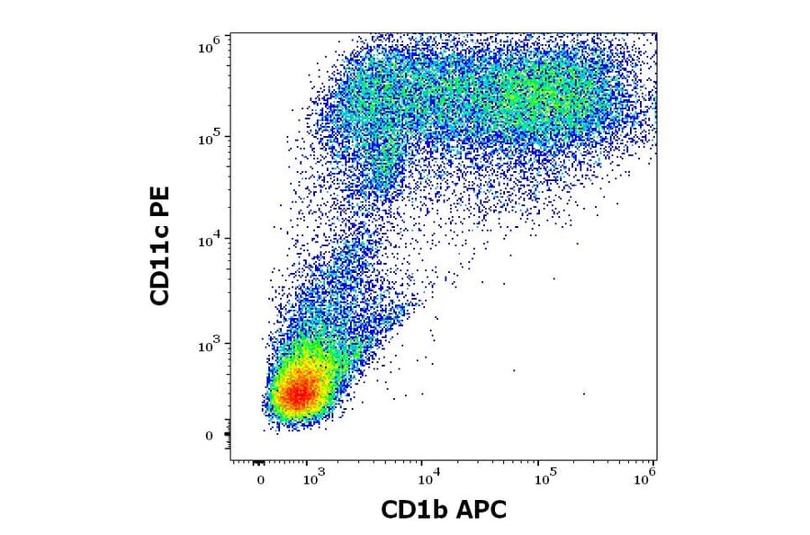 Flow Cytometry - Anti-CD1b Antibody [SN13] (APC) (A320698)
