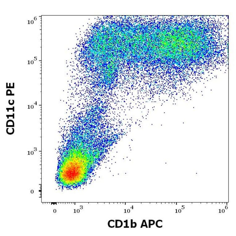 Flow Cytometry - Anti-CD1b Antibody [SN13] (APC) (A320698)
