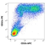 Flow Cytometry - Anti-CD1b Antibody [SN13] (APC) (A320698)