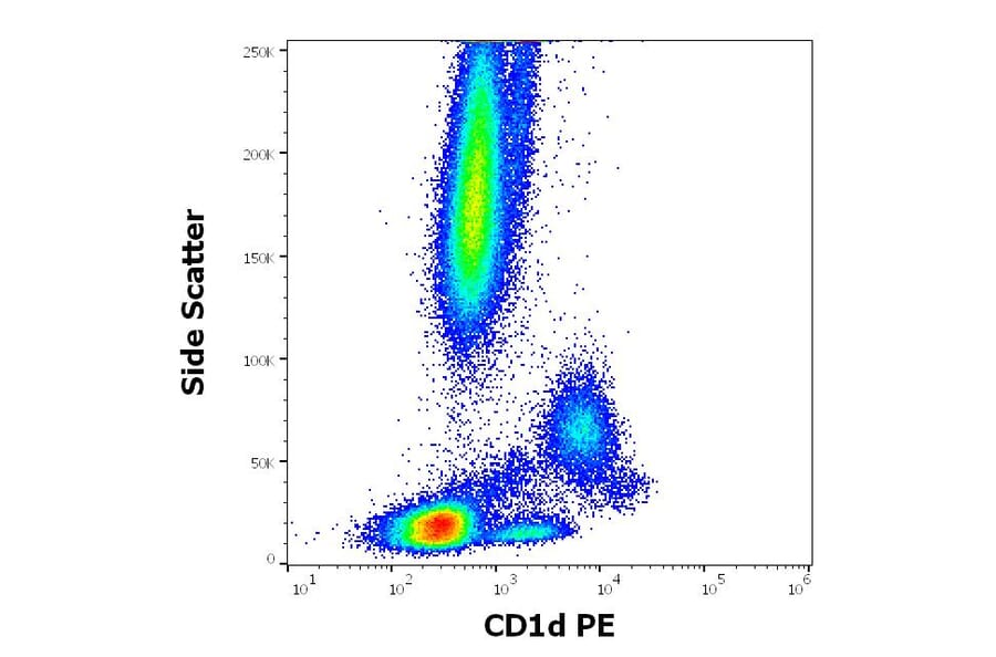 Flow Cytometry - Anti-CD1d Antibody [51.1] (PE) (A320699)