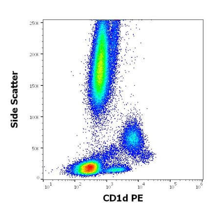 Flow Cytometry - Anti-CD1d Antibody [51.1] (PE) (A320699)