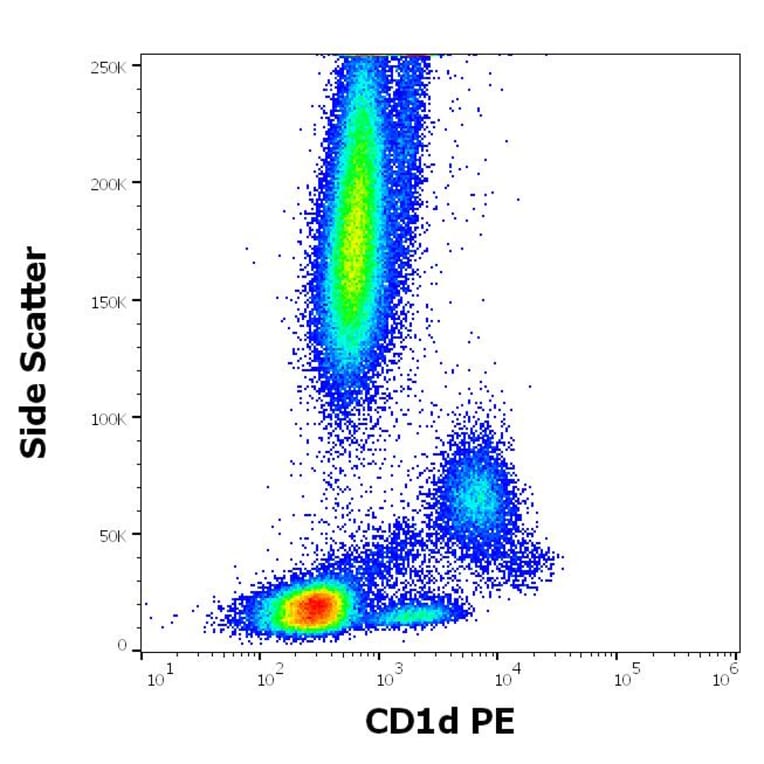 Flow Cytometry - Anti-CD1d Antibody [51.1] (PE) (A320699)