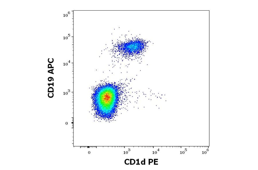 Flow Cytometry - Anti-CD1d Antibody [51.1] (PE) (A320699)