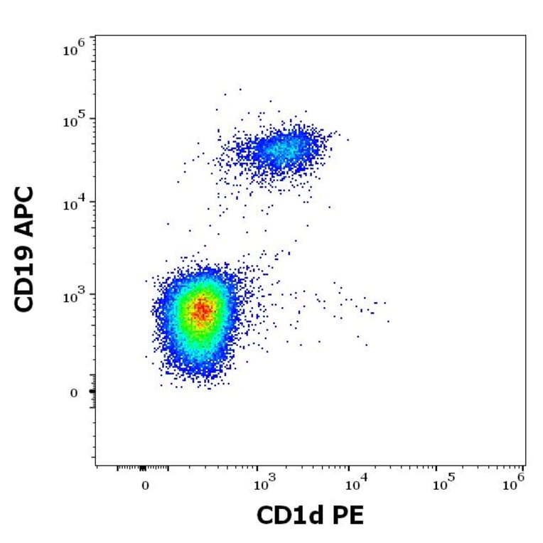Flow Cytometry - Anti-CD1d Antibody [51.1] (PE) (A320699)