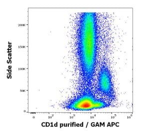 Flow Cytometry - Anti-CD1d Antibody [51.1] (A320700)