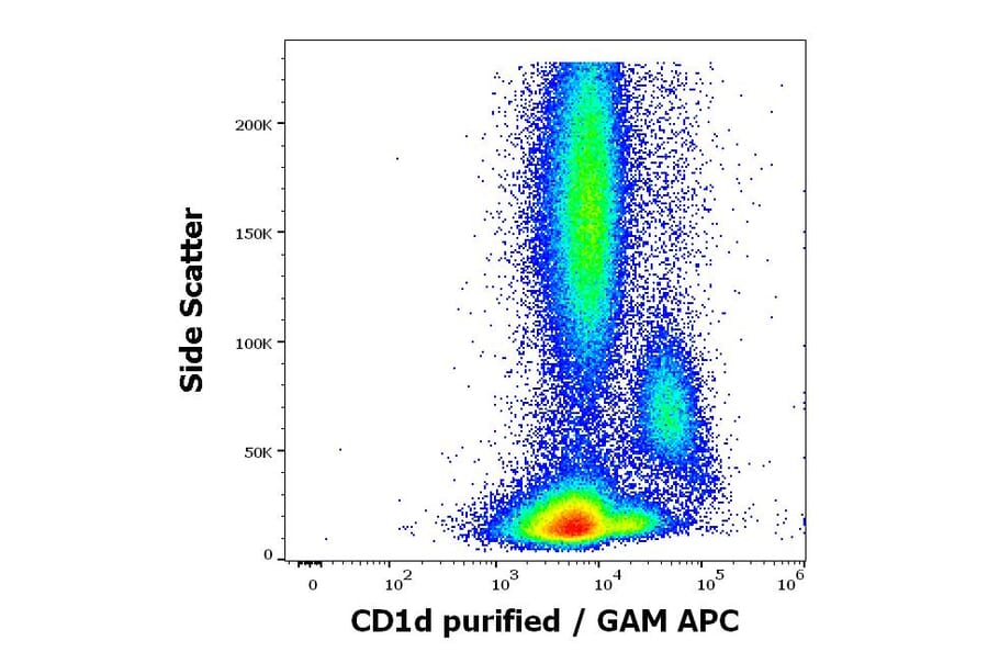 Flow Cytometry - Anti-CD1d Antibody [51.1] (A320700)