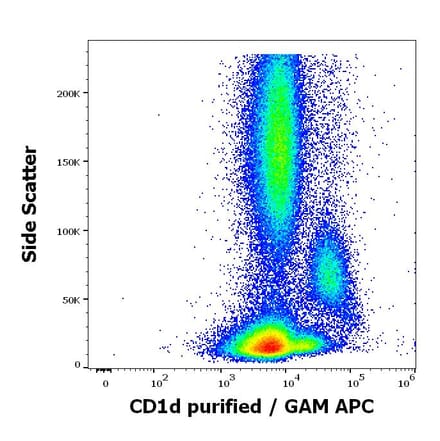 Flow Cytometry - Anti-CD1d Antibody [51.1] (A320700)