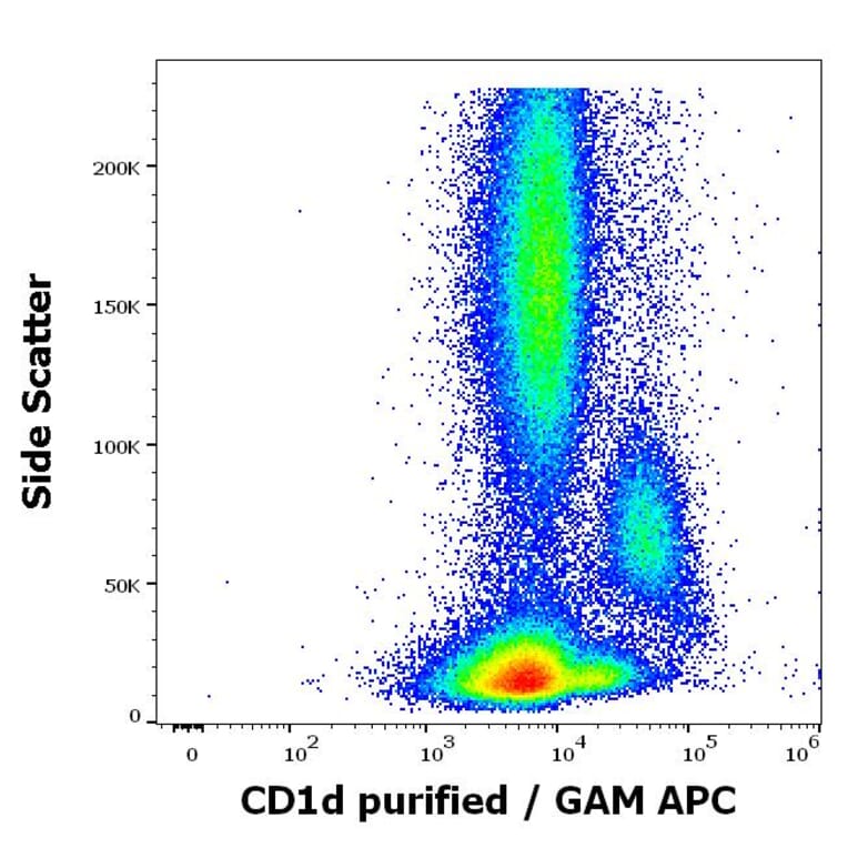 Flow Cytometry - Anti-CD1d Antibody [51.1] (A320700)