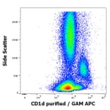 Flow Cytometry - Anti-CD1d Antibody [51.1] (A320700)