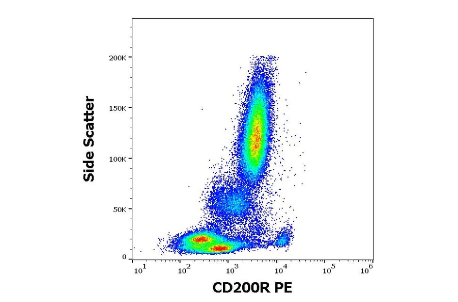 Flow Cytometry - Anti-CD200R Antibody [OX-108] (PE) (A320701)