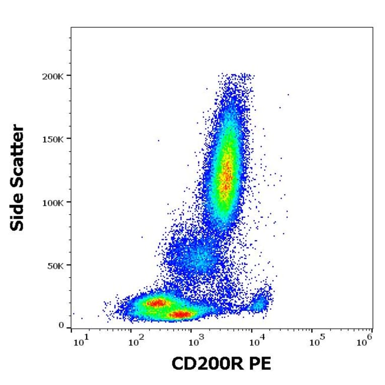 Flow Cytometry - Anti-CD200R Antibody [OX-108] (PE) (A320701)
