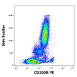 Flow Cytometry - Anti-CD200R Antibody [OX-108] (PE) (A320701)