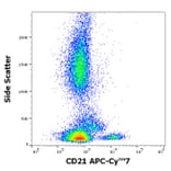 Flow Cytometry - Anti-CD21 Antibody [LT21] (APC-Cyanine 7) (A320702)