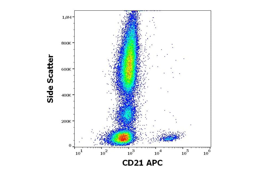 Flow Cytometry - Anti-CD21 Antibody [LT21] (APC) (A320703)