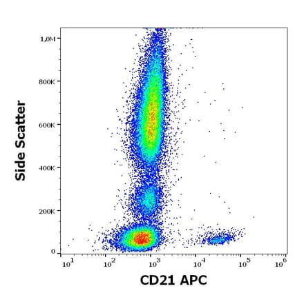 Flow Cytometry - Anti-CD21 Antibody [LT21] (APC) (A320703)