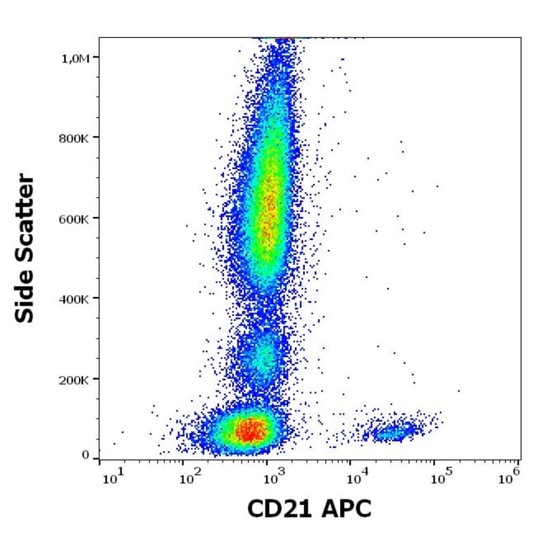 Flow Cytometry - Anti-CD21 Antibody [LT21] (APC) (A320703)
