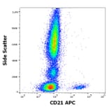 Flow Cytometry - Anti-CD21 Antibody [LT21] (APC) (A320703)