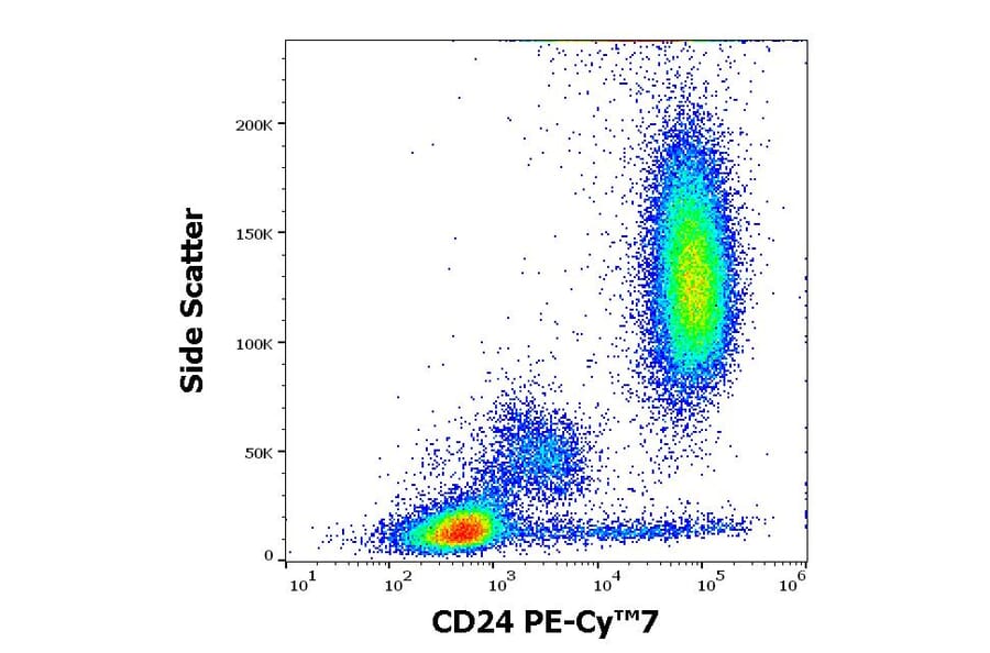 Flow Cytometry - Anti-CD24 Antibody [SN3] (PE-Cyanine 7) (A320704)