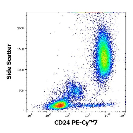 Flow Cytometry - Anti-CD24 Antibody [SN3] (PE-Cyanine 7) (A320704)