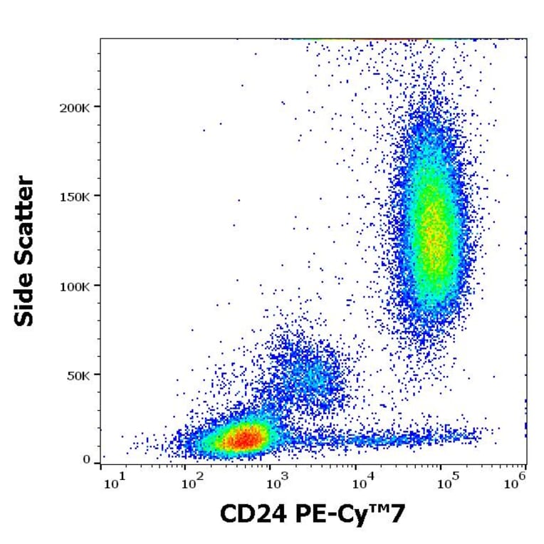 Flow Cytometry - Anti-CD24 Antibody [SN3] (PE-Cyanine 7) (A320704)
