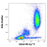 Flow Cytometry - Anti-CD24 Antibody [SN3] (PE-Cyanine 7) (A320704)