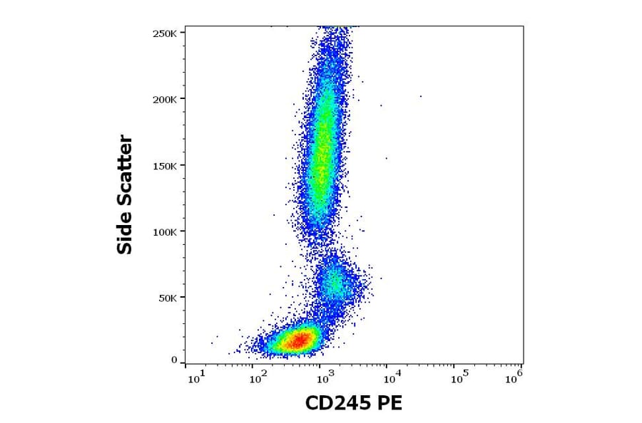 Flow Cytometry - Anti-CD245 Antibody [DY12] (PE) (A320705)