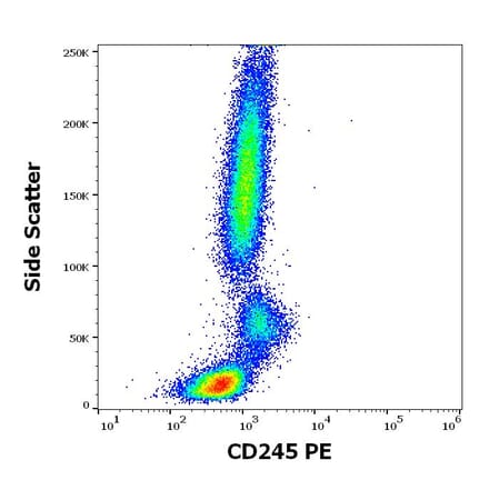 Flow Cytometry - Anti-CD245 Antibody [DY12] (PE) (A320705)